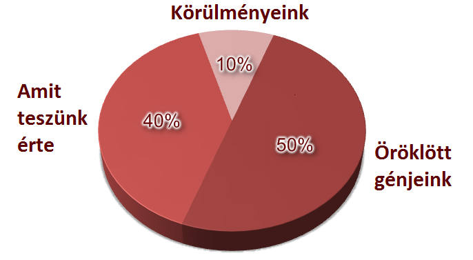 a_boldogsag_tortaja_diagram